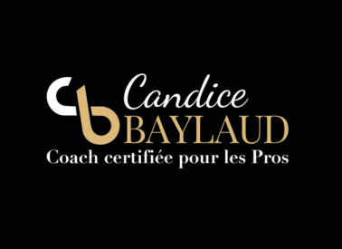 en-quete-de-pro-annuaire-professionnels-artisans-entreprises-perpignan-pyrenees-orientales-66-reseau-local-groupement-commercants-choisir-trouver